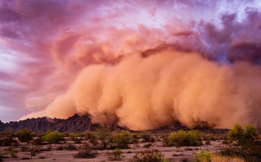 Climatologists say an increase in the number of destructive dust storms - sometimes called haboobs - that develop during Arizona's hot, dry summers are a product of climate change. (Mdesigner125/Adobe Stock)