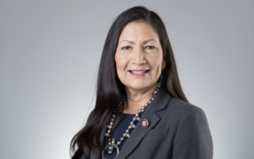 In addition to her historic nomination for Joe Biden's cabinet, Rep. Deb Haaland, D-New Mexico, made history in being one of the first two Native American women elected to Congress in 2018. (House.gov)