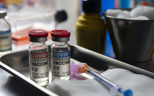 Twenty-six states plus Washington D.C. are already allowing some or all of their school employees to get the COVID-19 vaccine. (felipecaparros/Adobe Stock)