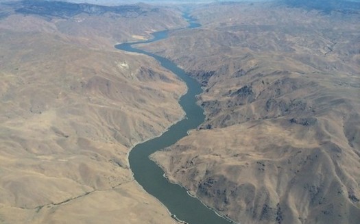 Salmon and steelhead on the Snake River have dwindled dramatically in recent decades. (Sam Beebe/Flickr)