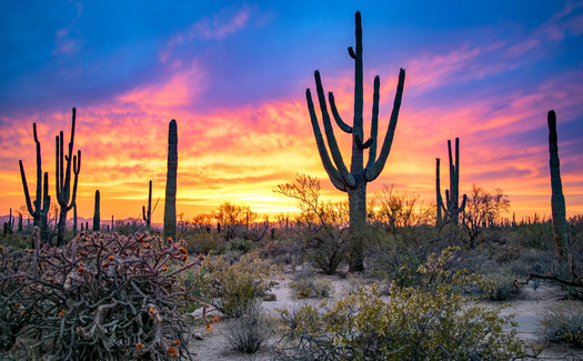 Sunset brings out the brilliant colors of the Arizona desert at Saguaro National Park near Tucson, part of the millions of acres of public lands across the state. (Nate Hovee/Adobe Stock)<br />