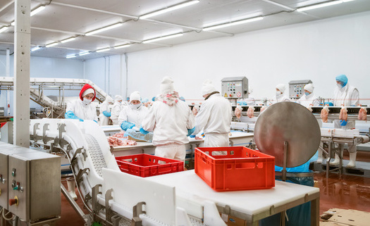 More than 300 meatpacking and processing workers in the United States have died of COVID-19 since the pandemic began. (Adobe Stock)