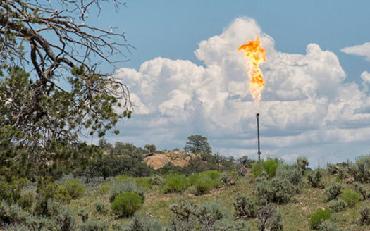 New Mexico collects a higher share of federal royalties and proceeds from oil and gas leases than other Western states. (blog.ucsusa.org)