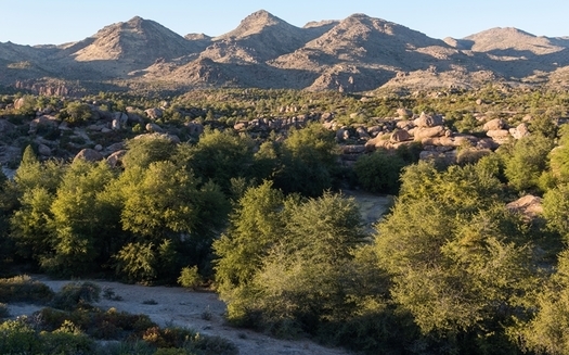 Oak Flat in the Tonto National Forest in considered sacred ground by several native tribes and also is a popular area for outdoor recreation. (Elias Butler/Wikimedia Commons)