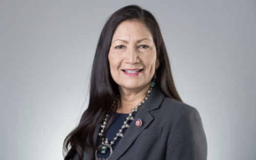 In addition to her historic role in President Joe Biden's Cabinet, Rep. Deb Haaland, D-N.M., made history in being one of the first two Native American women elected to Congress in 2018. (House.gov)