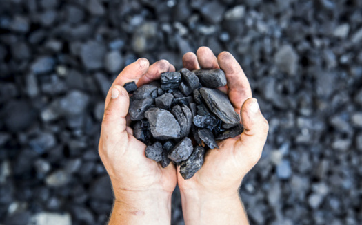 Environmental groups say they're not opposed to cleaner technology for coal plants, but question long-term investments for an industry that faces growth issues. (Adobe Stock)