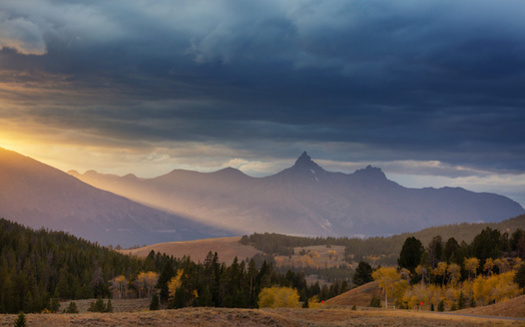 An initiative legalizing recreational marijuana in Montana directed nearly half of the tax revenue collected to public lands. (Galyna Andrushko/Adobe Stock)