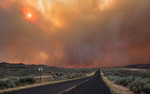 Washington state is expecting more wildfires as the effects from climate change get worse. (Chris/Adobe Stock)