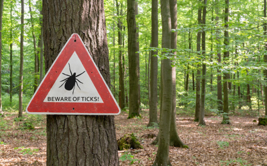 To prevent tick-borne disease, Missouri officials recommend walking in the center of a trail, wearing light colors, long pants and sleeves, and using insect repellent, among other measures. (gabort/Adobe Stock)