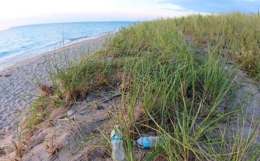 Water bottles and other plastic pollution along Lake Michigan can break down into tiny particles that hurt wildlife. (daveynin/Flickr)