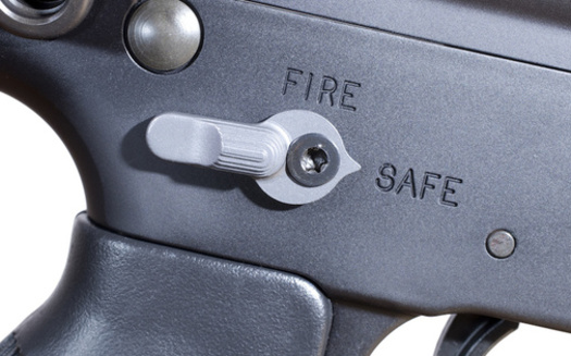 According to the Educational Fund to Stop Gun Violence, 58% of Illinois gun deaths in 2019 were homicides and 40% were suicides. (Guy Sagi/Adobe Stock)