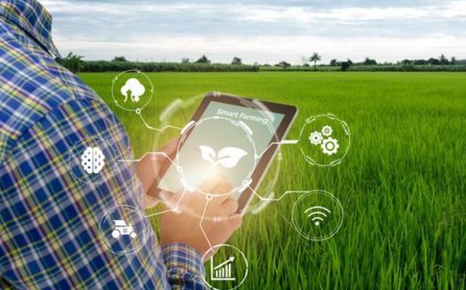 Agriculture observers say digital connectivity could be an emerging force in the coming years as farmers try to become more efficient and avoid disruptions to their work. (Adobe Stock)