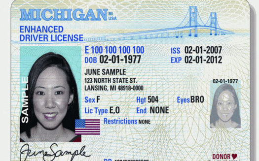 Lawmakers have introduced bills to grant access to ID cards and driver's licenses to undocumented immigrants multiple times in recent years, but the proposals have not been granted a hearing or vote. (Michigan.gov)