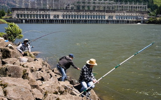 Fishing is popular near the Bonneville Dam along the Columbia River. (Nathan K/Flickr)
