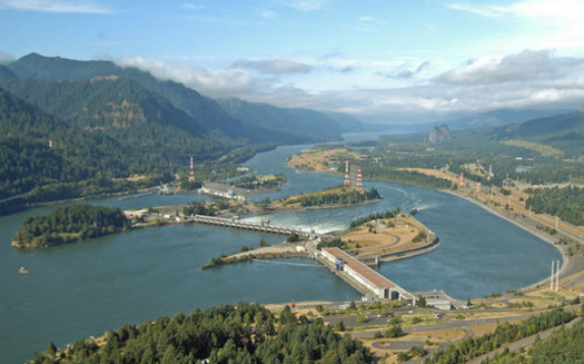 People are advised not to eat non-migratory fish within a mile upstream of Bonneville Dam, because of contamination from PCBs. (salmonrecovery/Flickr)