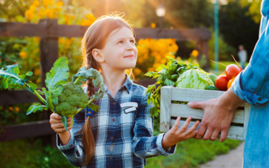 The USDA projects that $1 billion in additional SNAP benefits would lead to an increase of $1.54 billion in the nation's Gross Domestic Product. (Adobe Stock)
