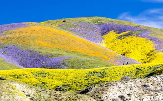 President Bill Clinton used the Antiquities Act in 2012 to designate the Carrizo Plain National Monument. (Bureau of Land Management)
