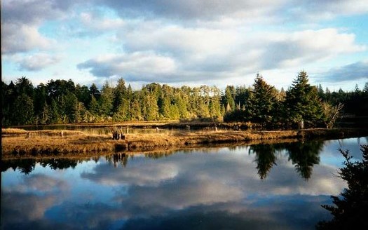 The South Slough National Estuarine Research Reserve near Coos Bay supports 65 jobs. (Werewombat/Wikimedia Commons)