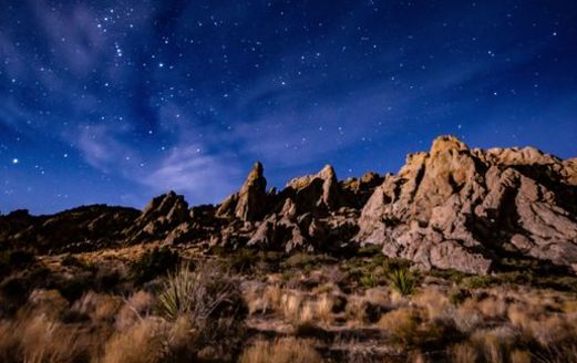 The Avi Kwa Ame area, also known as Spirit Mountain, is important habitat for the golden eagle and the desert tortoise and is home to the largest Joshua tree forest in the country. (Justin McAffee)
