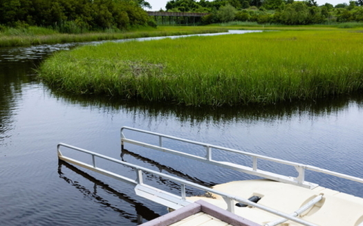 Virginia's new Coastal Adaptation and Resilience Master Plan is expected to use nature-based solutions, like wetlands restoration, to help absorb the impact of severe storms and flooding. (Adobe Stock)