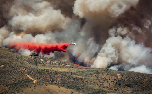 More than 8,700 acres have burned in Idaho so far this year as wildfire season ramps up. (Glen/Adobe Stock)