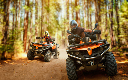 ATV environmental impacts include noise pollution, damage to vegetation, soil degradation, and disturbance to wildlife. (Adobe Stock)