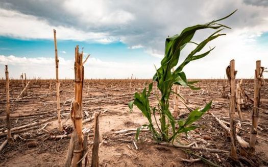 By 2050, South Dakota could see a 75% increase in the severity of widespread summer drought conditions. (Adobe Stock)