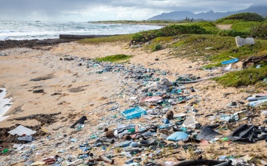Backers of a new initiative say nearly 9 million tons of plastic waste ends up in the world's oceans each year. (Raftography/Sustainable Coastlines)