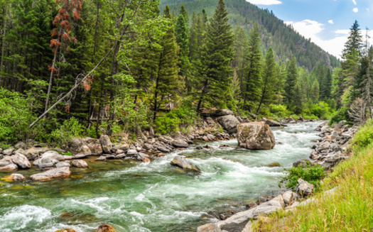 About 39 miles of the Gallatin River would be designated Wild and Scenic under legislation in Congress. (Matt/Adobe Stock)