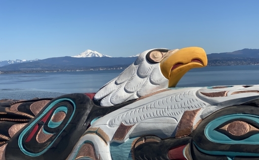 A symbolic 5,000-pound totem pole, hand-carved by Jewell James of the Lummi Nation in Washington state, will be at a blessing ceremony Saturday at Bears Ears National Monument in Utah. (#RedRoadtoDC)