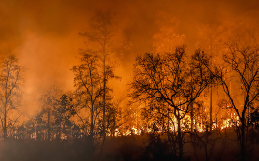 Over the past six decades, there has been a steady increase in the number of fires in the western United States, according to NASA. (Adobe Stock)