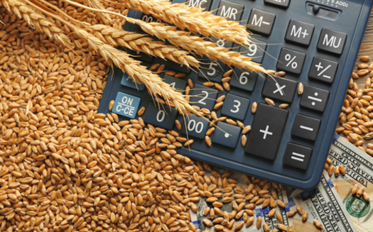 Commodity prices are higher, but advocates for smaller farmers contend that consolidation still allows a handful of corporations to reap a lot of the benefits. (Adobe Stock)