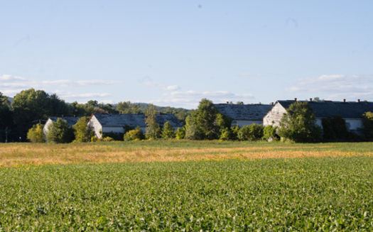 The town of Simsbury plans to preserve the remaining tobacco barns on the Meadowood farmland, some of which have been lost to solar-farm development. (Kesha Lambert)