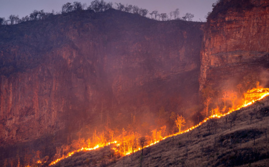 Oregon has been hit with multiple devastating wildfire seasons. Some say action on climate change is needed to mitigate them. (tawatchai1990/Adobe Stock)