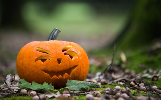 One way to recycle jack-o'-lanterns with wildlife in mind is to fill them with seeds, turning them into 