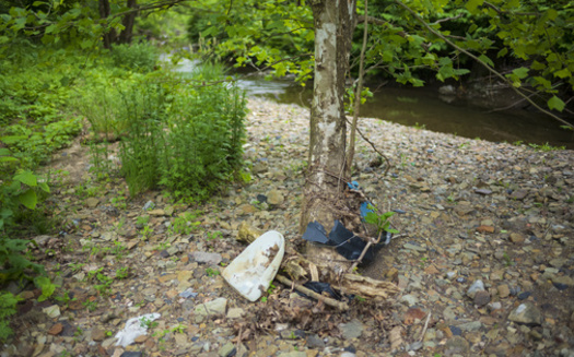 In a recent survey of 500 Pennsylvanians, 76% said they believe litter reduces property values, increases taxes with cleanup costs, and is an environmental issue. (Adobe Stock)