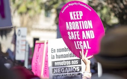 According to Planned Parenthood, currently, one in three women of reproductive age lives in a state where abortion could be illegal if the 1973 Roe v. Wade decision is overturned. (Wikimedia Commons/Larissa Puro)