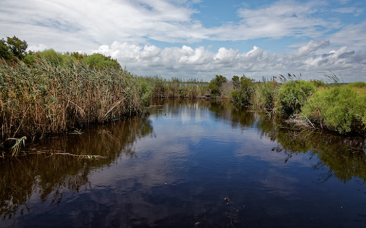 Experts at The Pew Charitable Trusts say the sounds, shorelines and marshes of North Carolina's coast form one of the largest estuary systems in the country. (Adobe Stock)<br />