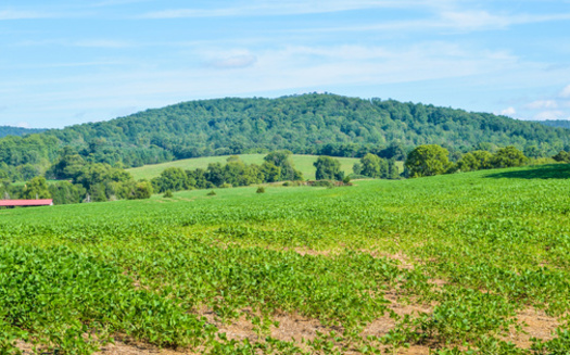 Farming is Virginia's largest private industry, according to the state Department of Agriculture and Consumer Services. (Adobe Stock)