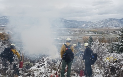 The Nature Conservancy in Idaho and U.S. Forest Service have partnered to deploy a five-person team in the Caribou-Targhee National Forest.(Cheyanne Quigley/The Nature Conservancy)