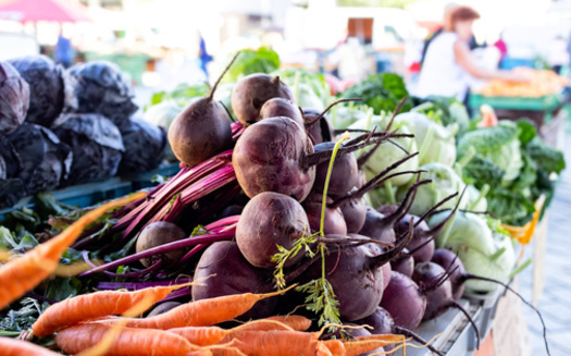 According to Hunger Solutions, SNAP customers spent a record $410,000 in SNAP/EBT and $208,000 in Market Bucks this past summer at Minnesota farmers markets. (Adobe Stock)