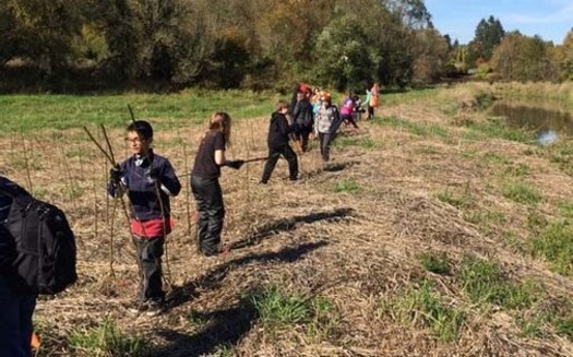 The Clark County Clean Water Restoration Fund distributed nearly $4.5 million to 25 projects on the Columbia River. (Lower Columbia Estuary Partnership)