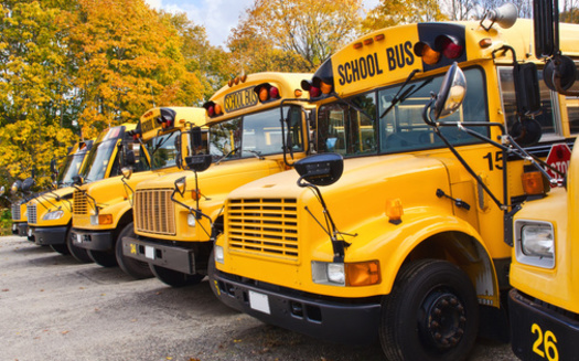 Emissions from all buses, cars, and trucks make up 30% of New York City's carbon footprint. (Adobe Stock)
