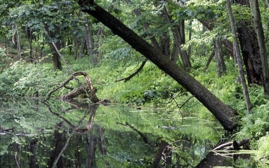 A 2021 report found that investing billions in the New York State Environmental Bond Act would create 65,000 jobs. (Carl Heilman/The Nature Conservancy)