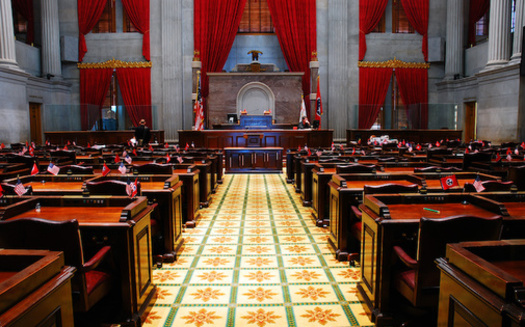 Tennessee House Republicans' newly approved map of congressional voting districts fast-growing and increasingly diverse Nashville into three districts. (Adobe Stock)