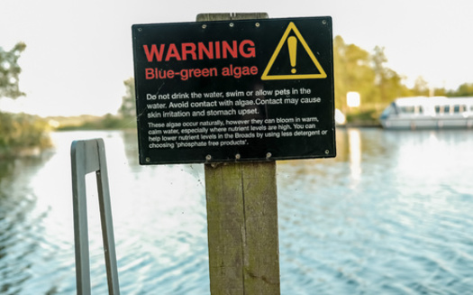 According to the U.S. Environmental Protection Agency, more than 15,000 water bodies across the country have nutrient-related environmental problems. (Adobe Stock)