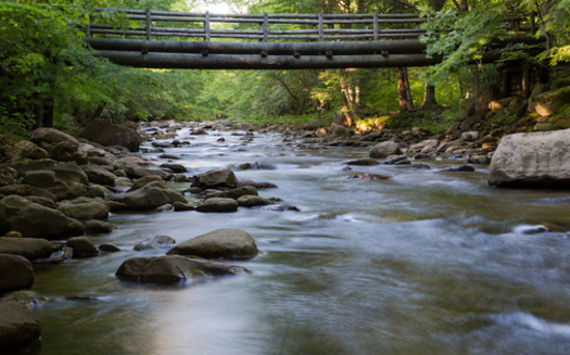 Environmentalists say increased sediment from a proposed natural-gas pipeline project would cause significant harm to West Virginia's streams and aquatic life. (Adobe Stock)