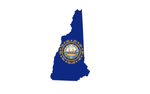 Since 2000, four of the people New Hampshire has elected to the U.S. House of Representatives have been Democrats, and two have been Republicans. (yurchello108/Adobe Stock)