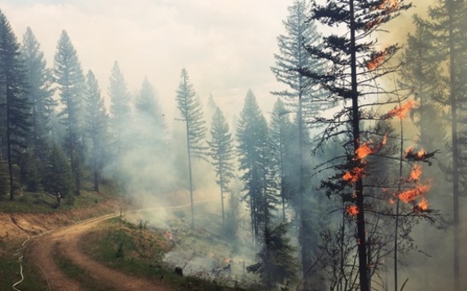 Montana is projected to face greater risks from wildfires as temperatures rise from climate change. (Gabe/Adobe Stock) 