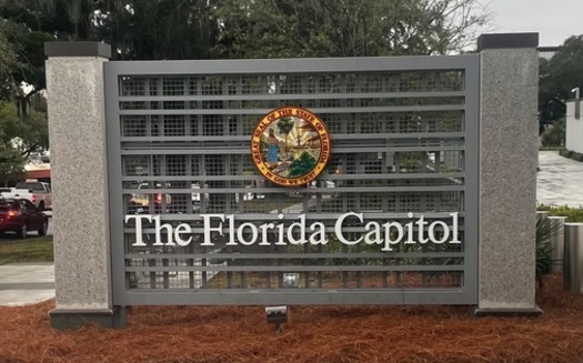 As a case about Florida election-law changes that went into effect in 2021 is heard in federal court, state lawmakers are advancing even more voting restrictions. (Trimmel Gomes)